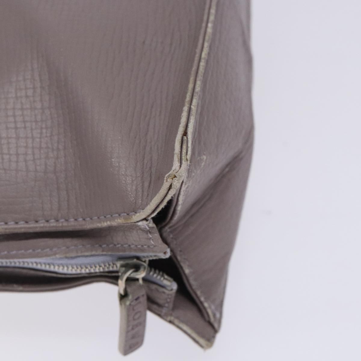 LOEWE Shoulder Bag Leather Gray Silver Auth fm4815