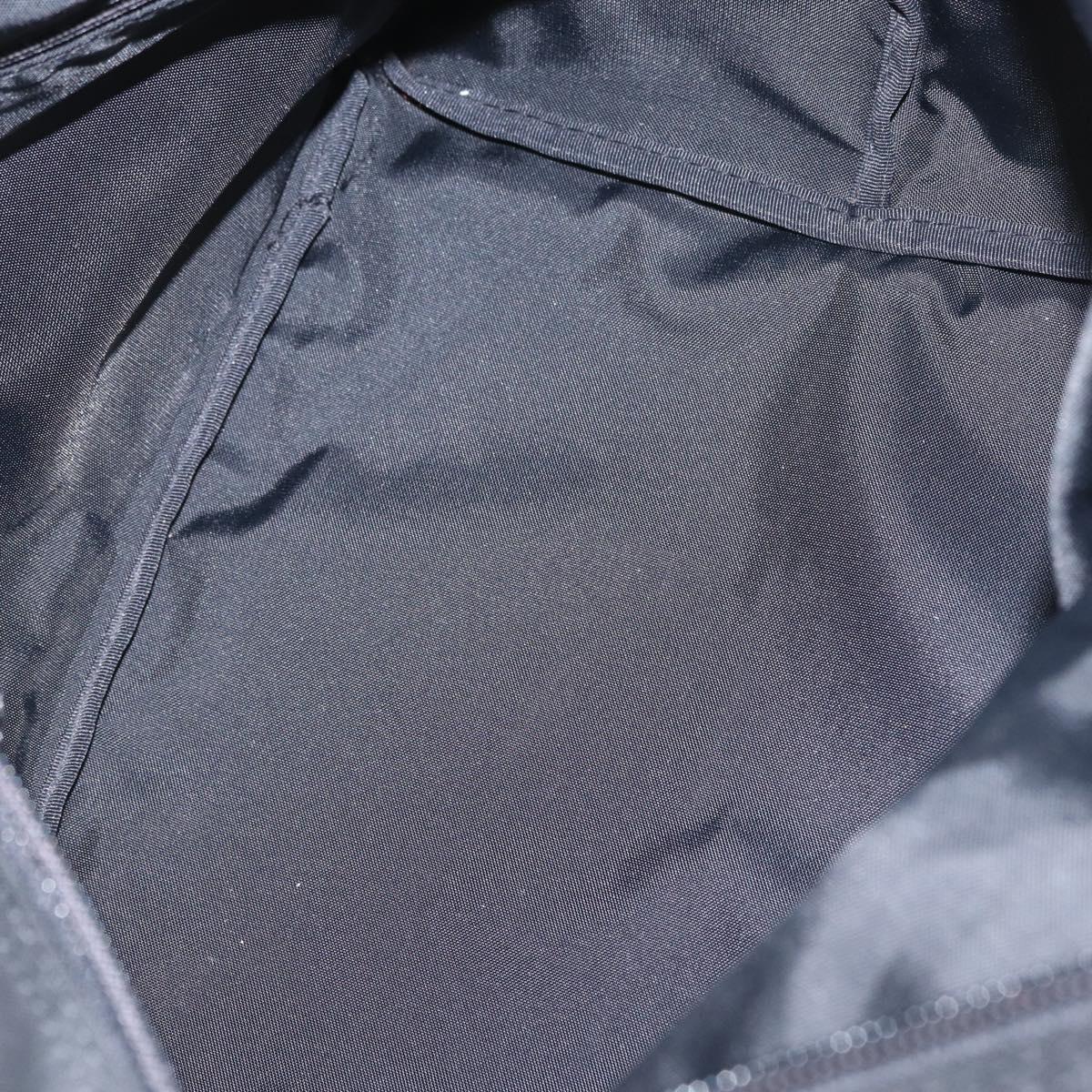 Burberrys Nova Check Blue Label Hand Bag Nylon Black Silver Auth fm5217