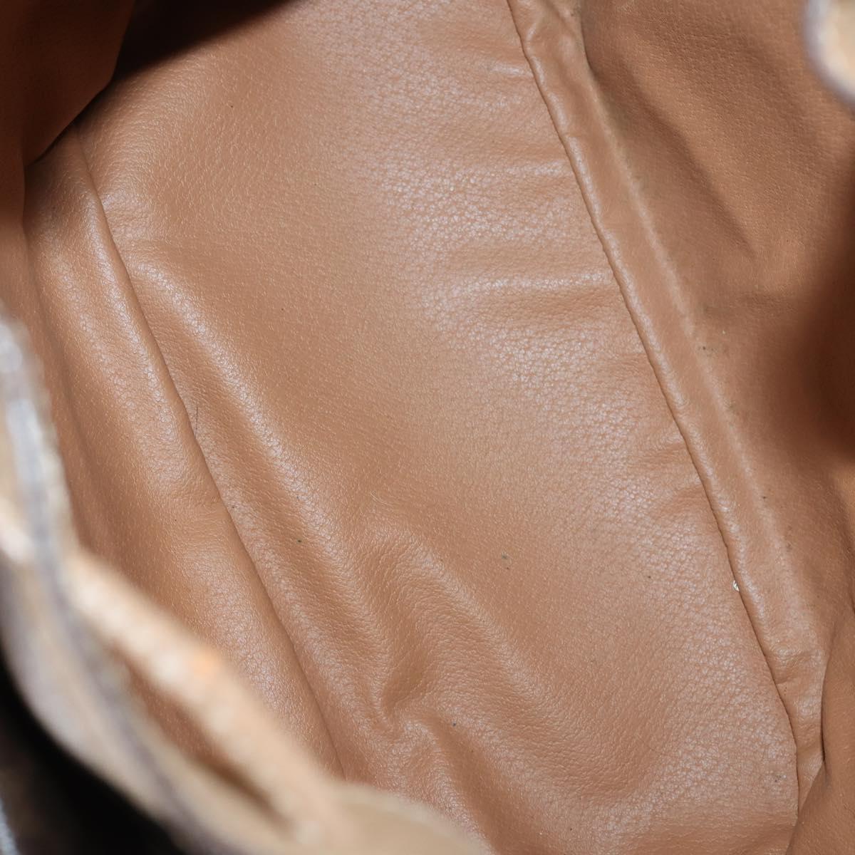 CELINE Macadam Canvas Shoulder Bag PVC Leather Brown Auth gh633