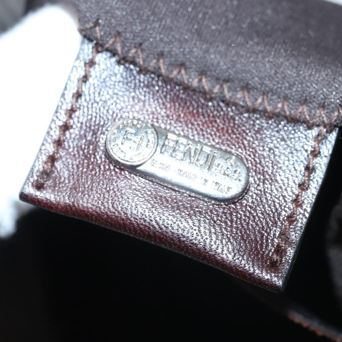 FENDI Hand Bag Nylon Brown Auth hk2402