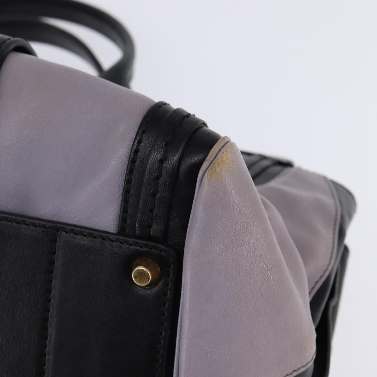 Chloe Alice Hand Bag Leather Purple Gold Auth hk3001