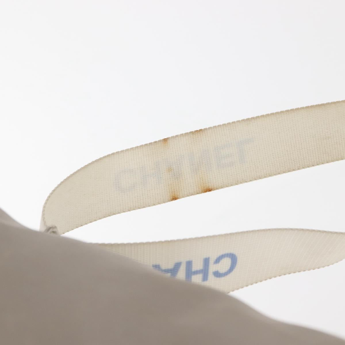 CHANEL Sports Shoulder Bag Nylon Gray Silver CC Auth hk3103