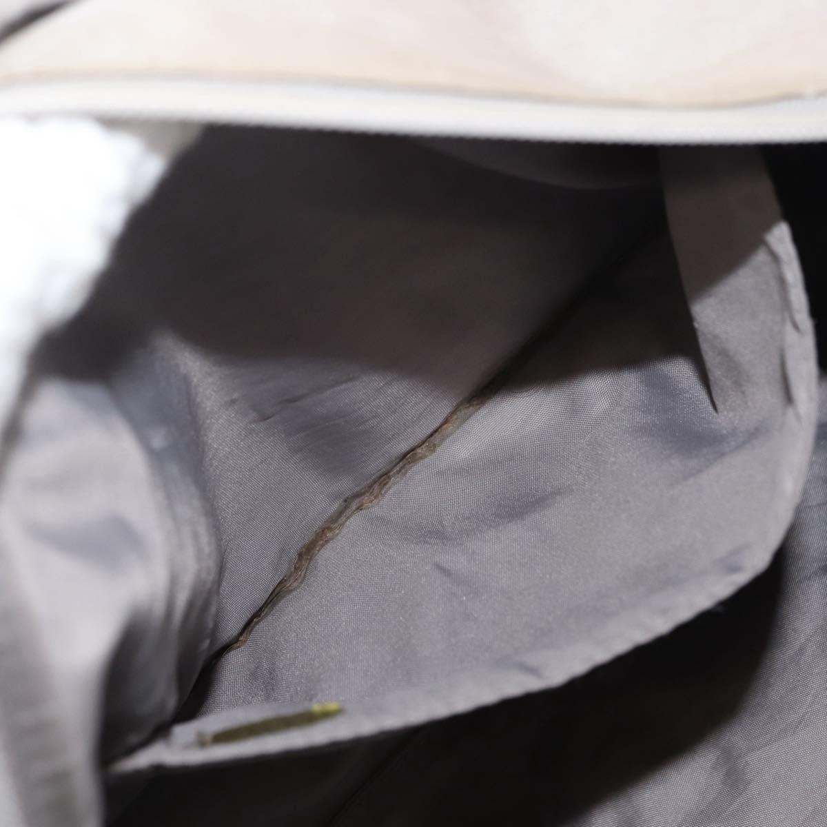 CHANEL Sports Shoulder Bag Nylon Gray Silver CC Auth hk3103