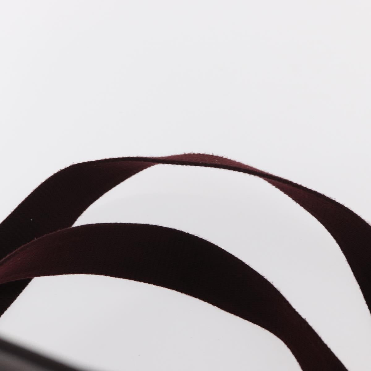 LOUIS VUITTON Taiga Cashier Backpack Acajou M30176 LV Auth hk3196