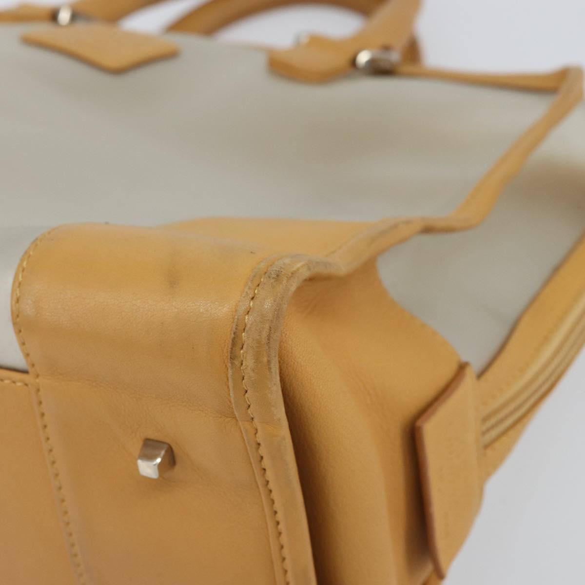 LOEWE Anagram Limited Model Amazona 30 Hand Bag Vinyl Clear Silver Auth hk3315