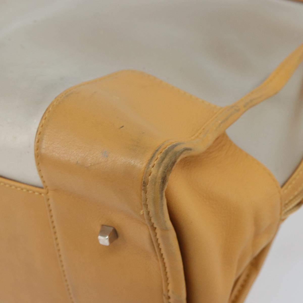 LOEWE Anagram Limited Model Amazona 30 Hand Bag Vinyl Clear Silver Auth hk3315