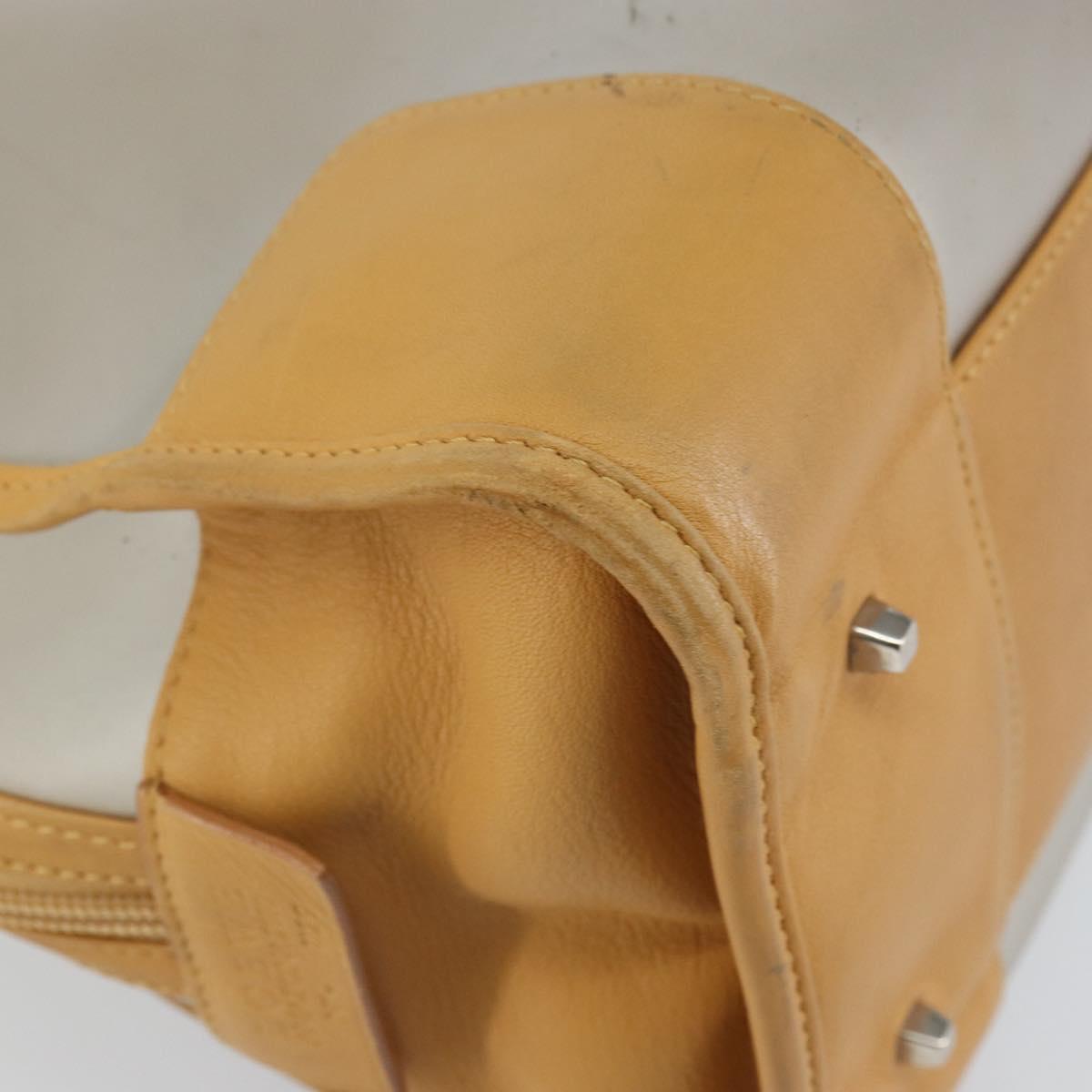 LOEWE Anagram Limited Model Amazona 30 Hand Bag Vinyl Clear Silver Auth hk3315