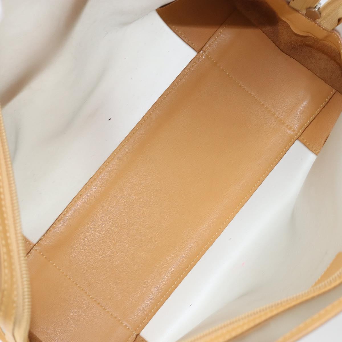 LOEWE Anagram Limited Model Amazona 30 Hand Bag Vinyl Clear Silver Auth hk3315