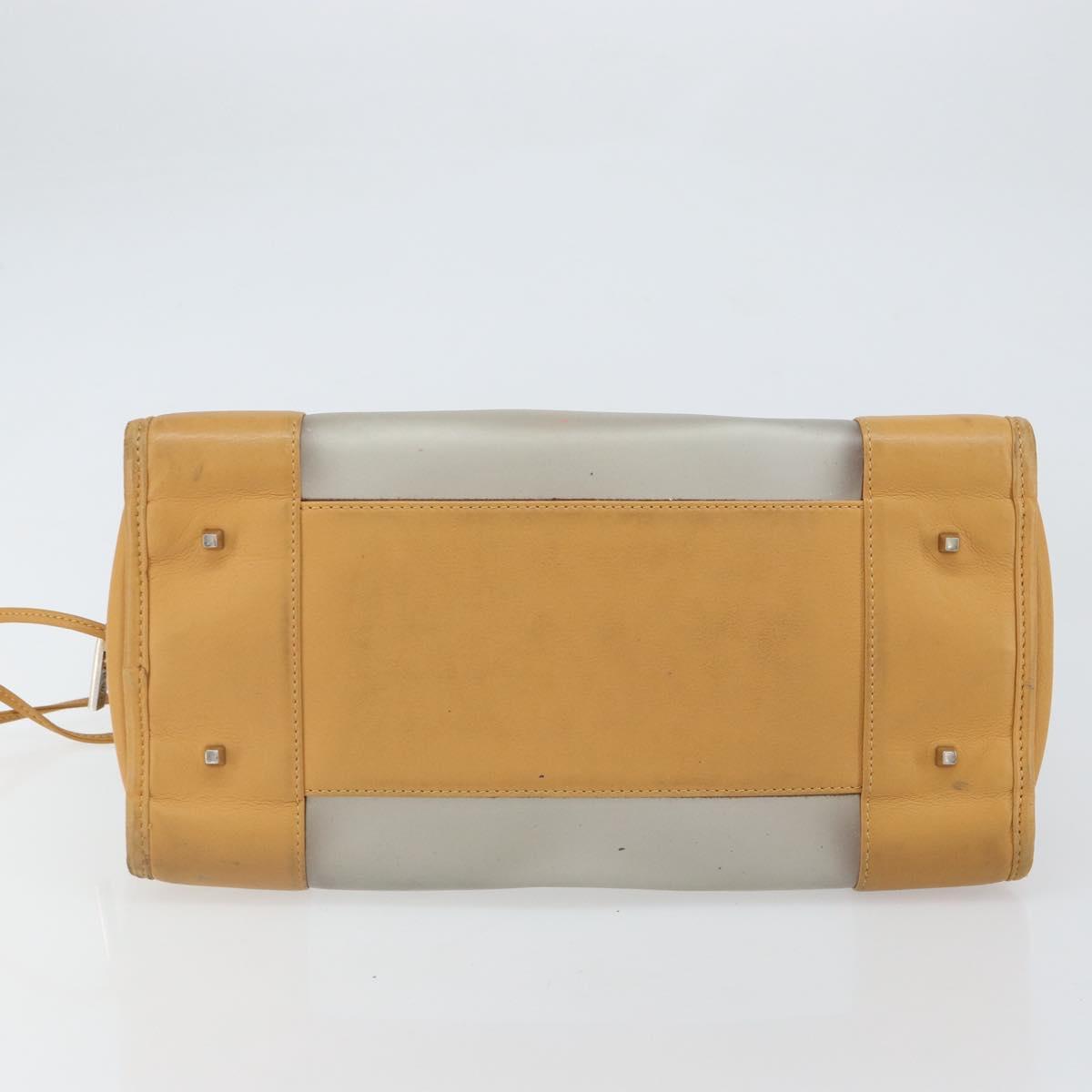 LOEWE Anagram Limited Model Amazona 30 Hand Bag Vinyl Clear Silver Auth hk3315