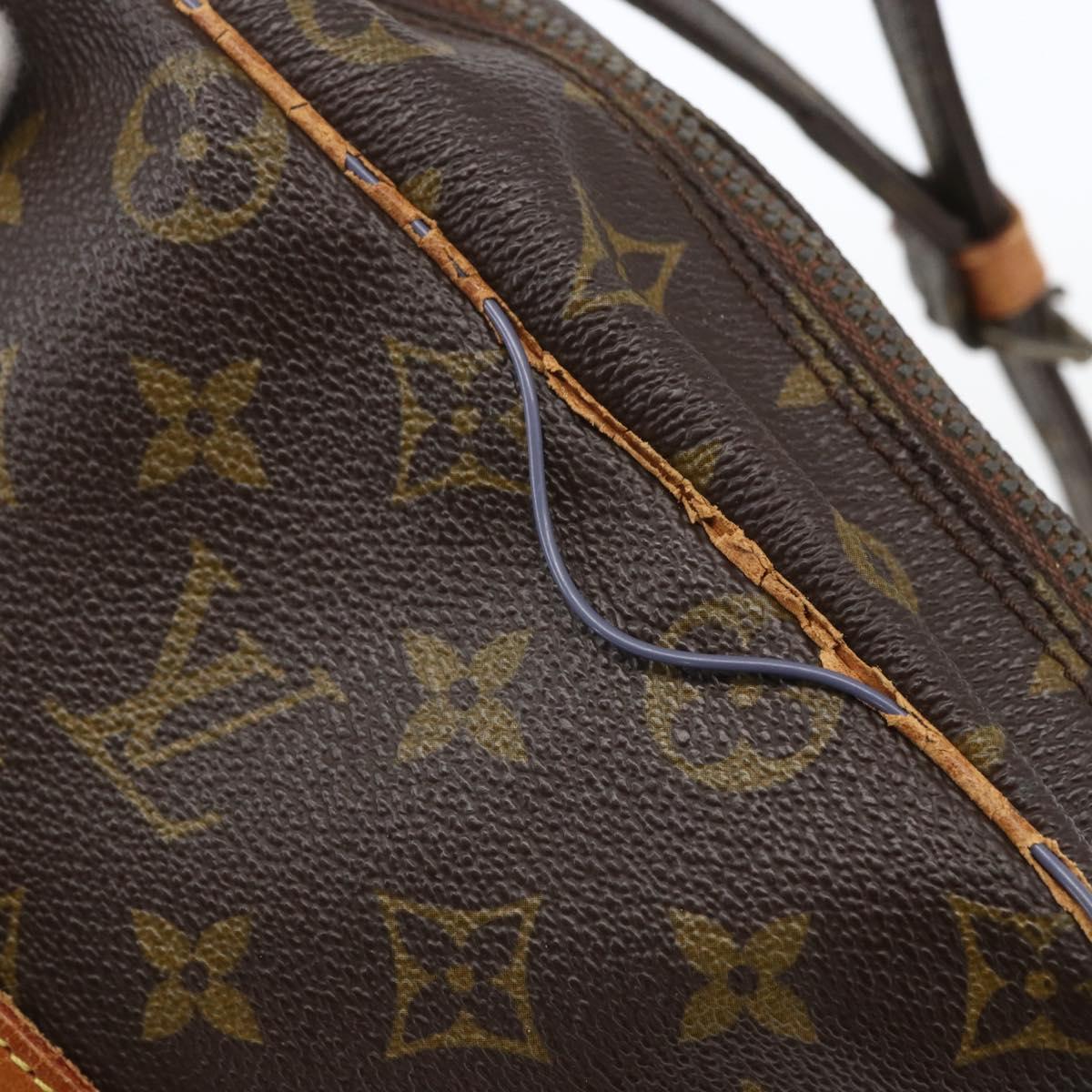 LOUIS VUITTON Monogram Danube MM Shoulder Bag M45264 LV Auth hk3406