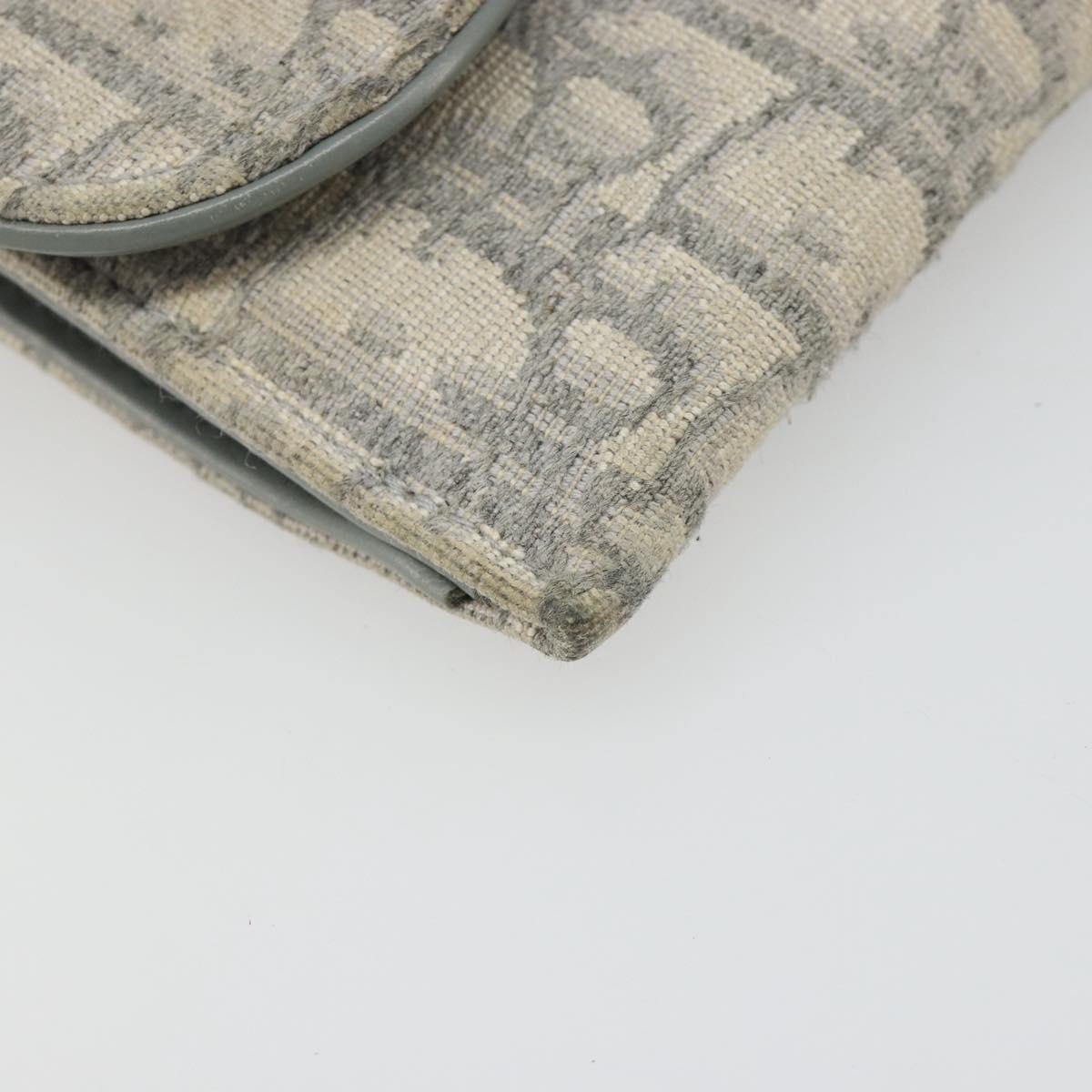 Christian Dior Trotter Canvas Saddle Chain Wallet Light Blue Gold Auth hk3821A