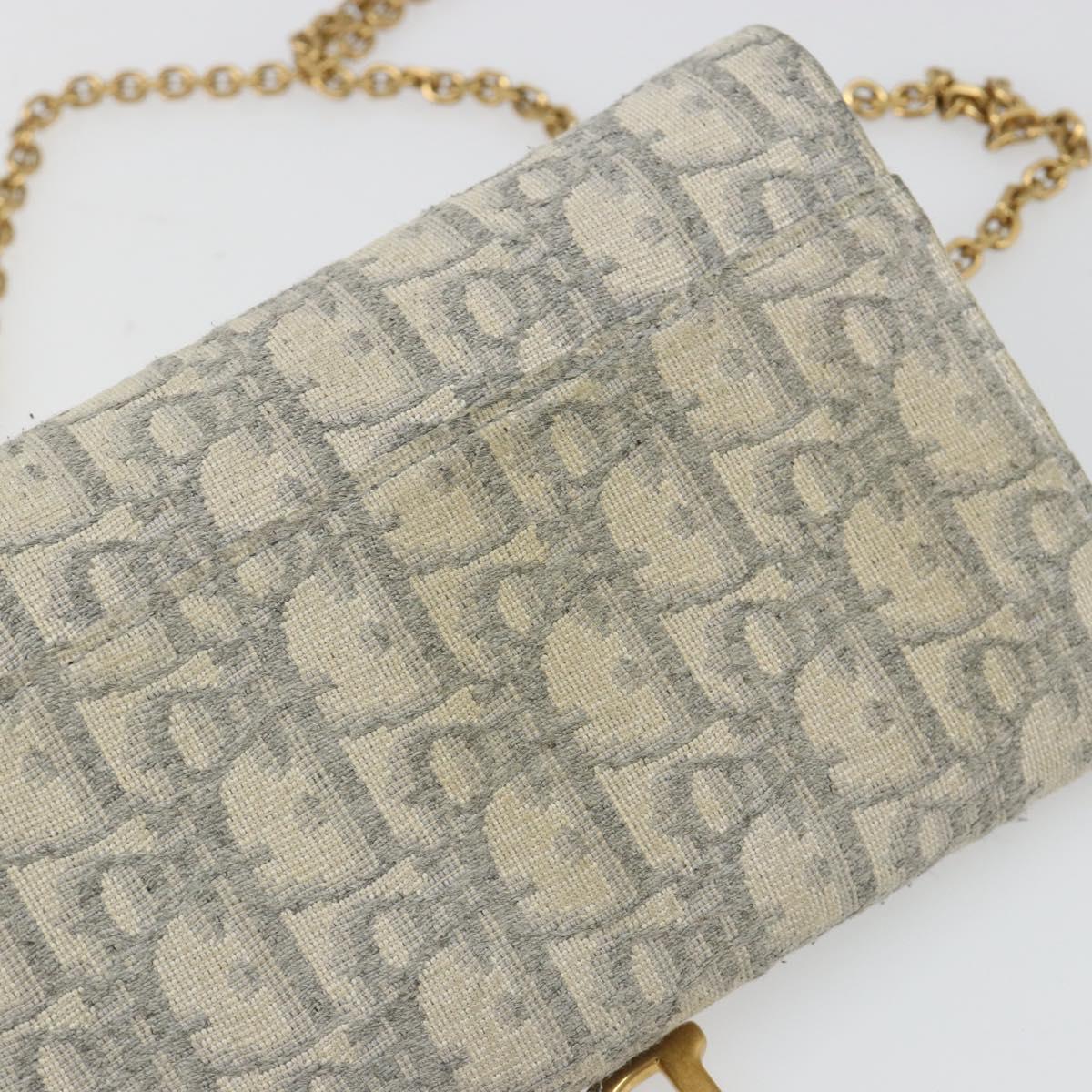 Christian Dior Trotter Canvas Saddle Chain Wallet Light Blue Gold Auth hk3821A