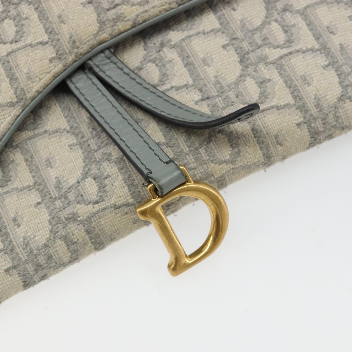 Christian Dior Trotter Canvas Saddle Chain Wallet Light Blue Gold Auth hk3821A