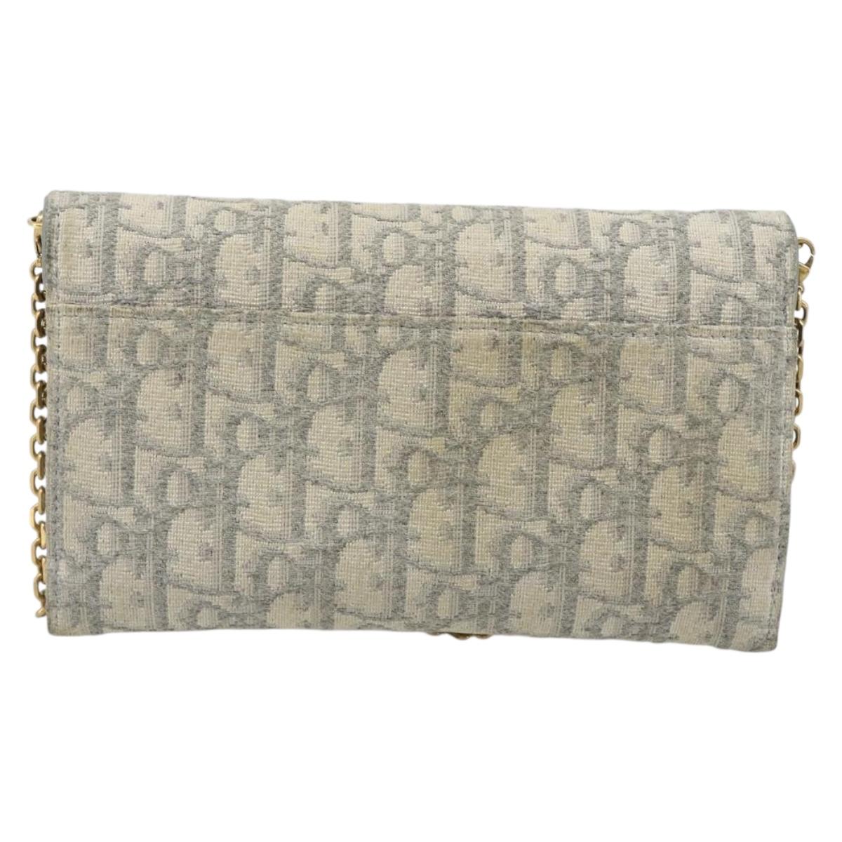 Christian Dior Trotter Canvas Saddle Chain Wallet Light Blue Gold Auth hk3821A