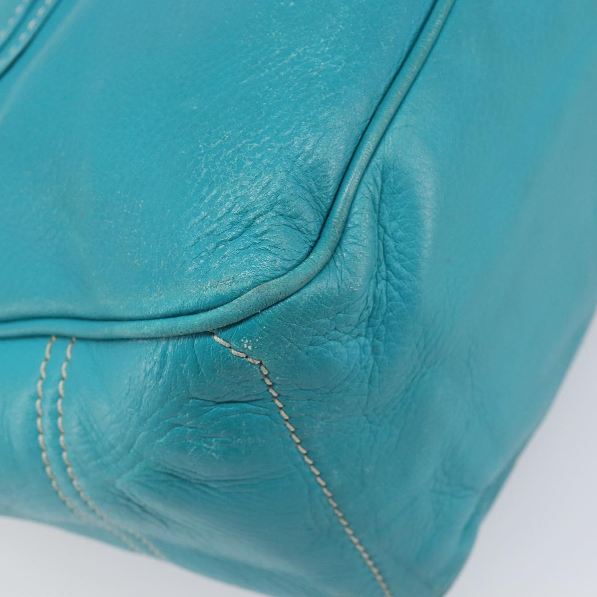 CELINE Boogie Bag Leather Light Blue Gold Auth hk4041