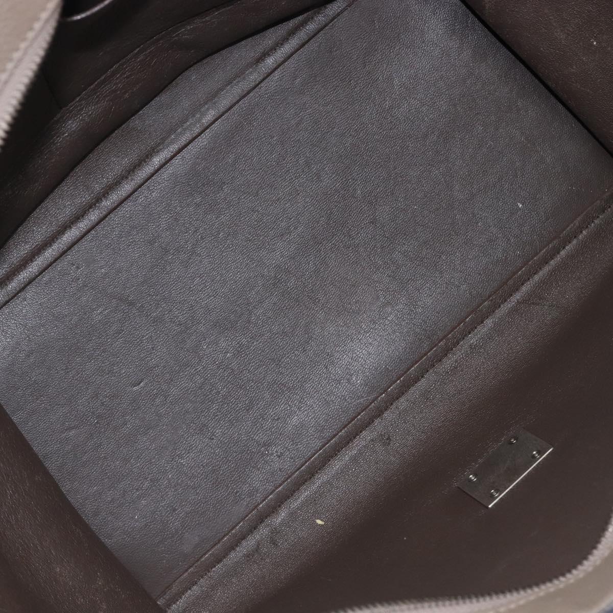 CELINE Trapeze Hand Bag Suede Leather 2way Beige Silver Auth hk4044
