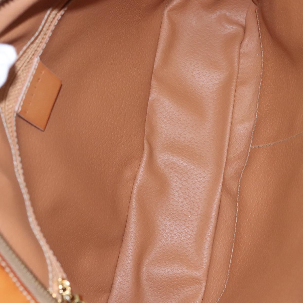 CELINE Macadam Canvas Hand Bag PVC Leather Beige Auth JB007