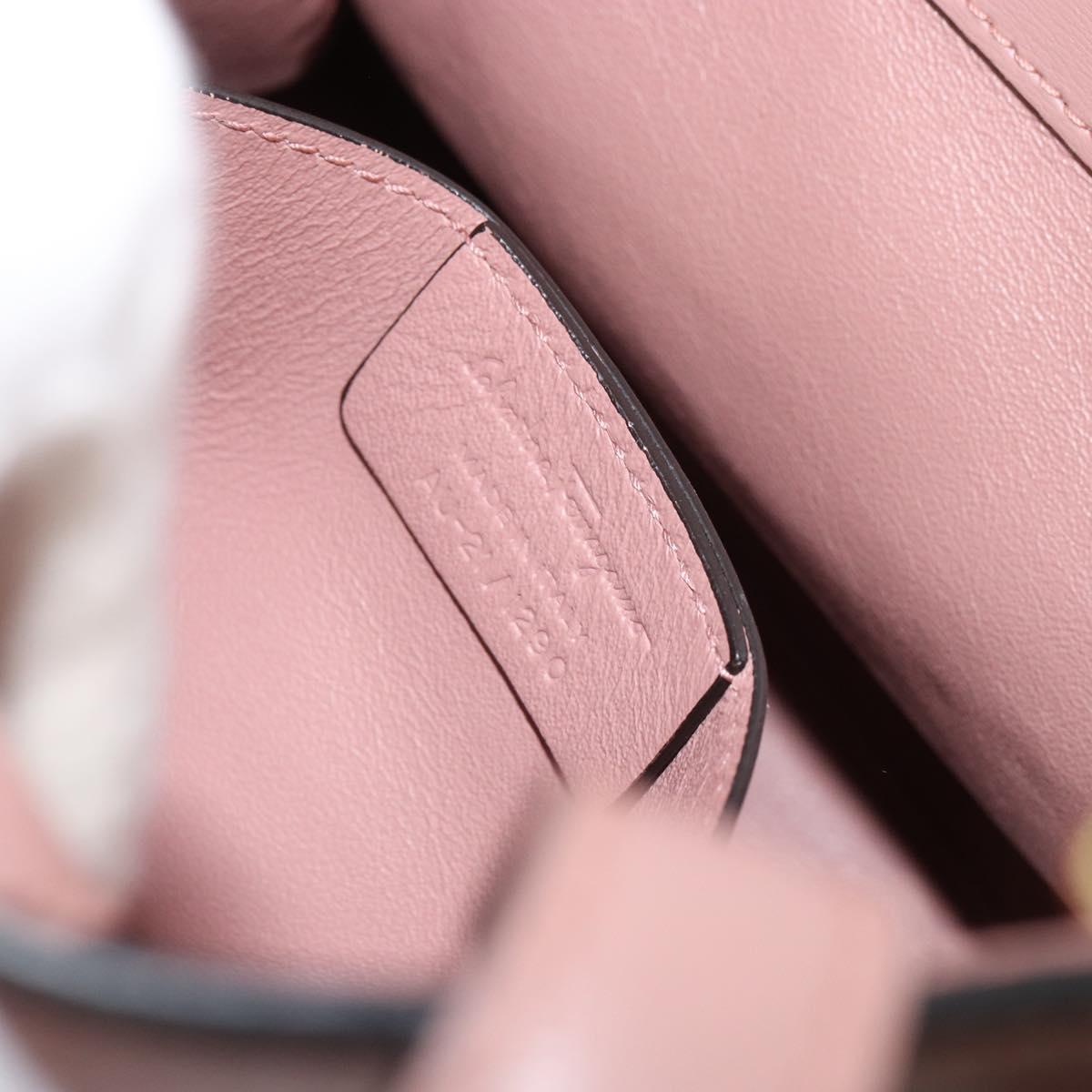 Salvatore Ferragamo Vala Hand Bag Leather 2way Pink Gold Auth ka1614