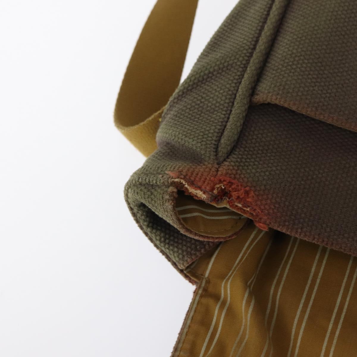 LOUIS VUITTON Antigua Buzzus PM Shoulder Bag Brown M40080 LV Auth ka1767