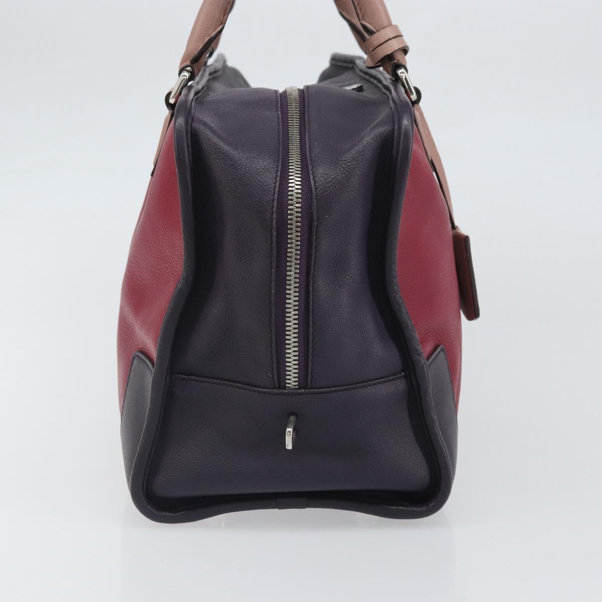 LOEWE anagram Amazona 28 Hand Bag Leather Silver Pink Auth ka1898V