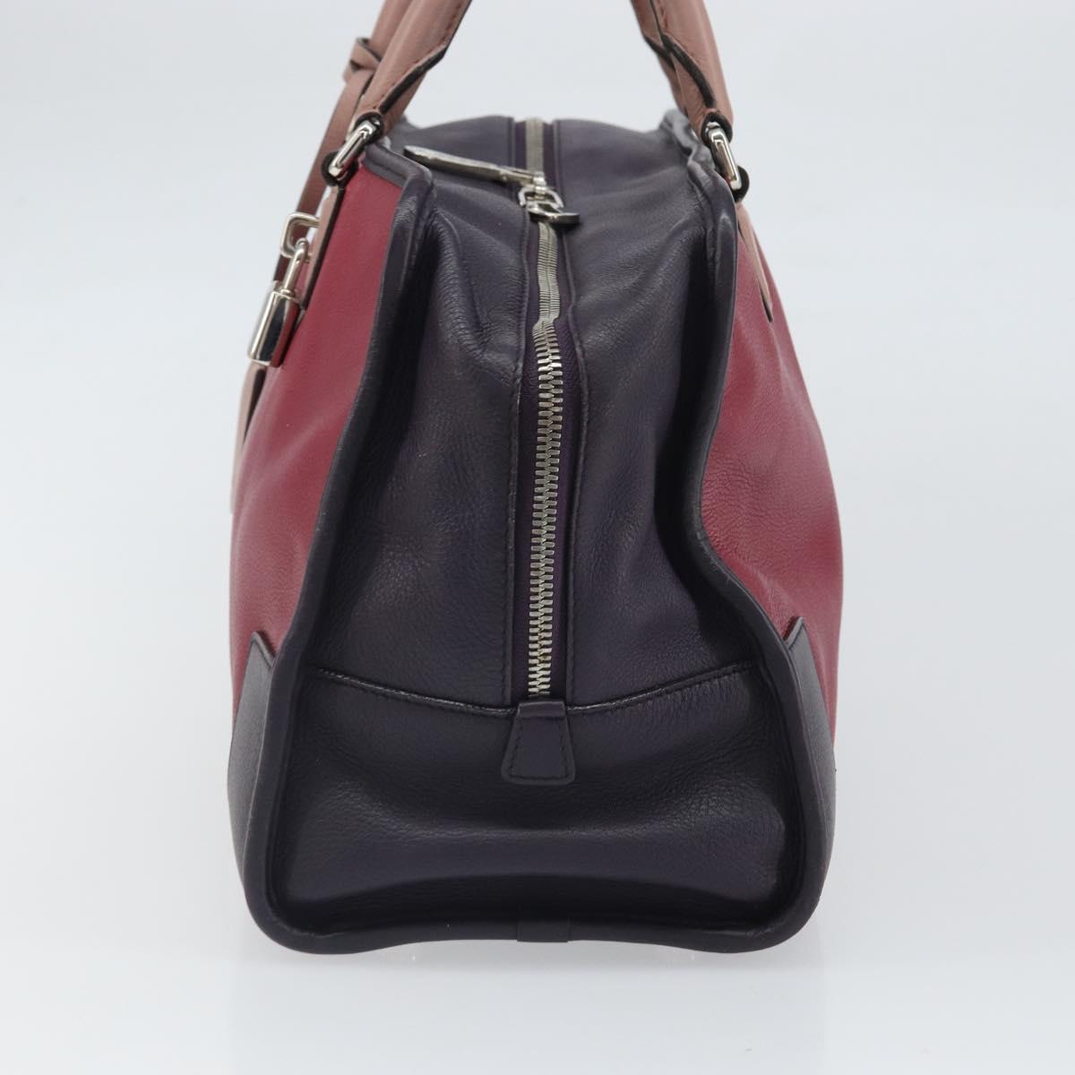 LOEWE anagram Amazona 28 Hand Bag Leather Silver Pink Auth ka1898V