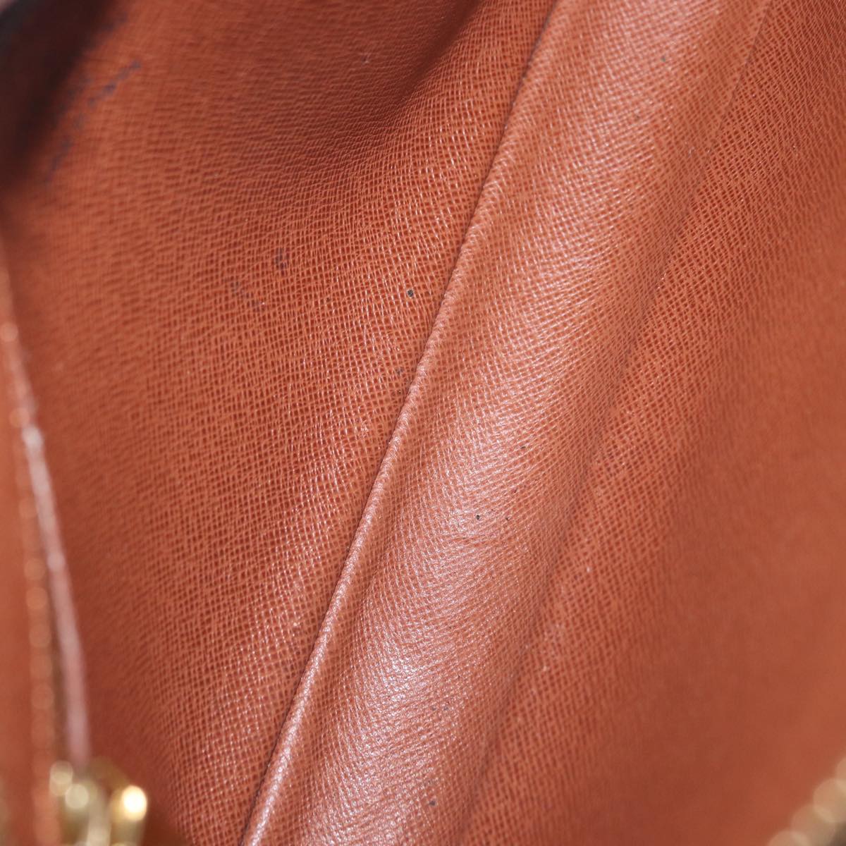 LOUIS VUITTON Monogram Marly Dragonne GM Clutch Bag M51825 LV Auth ka1979