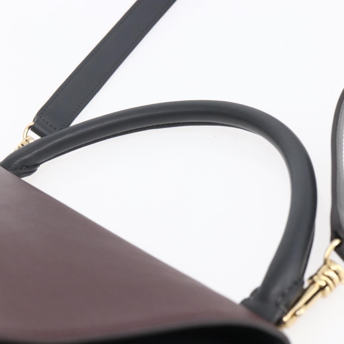 CELINE Trapeze Medium Hand Bag Leather 2way Red Green gold Auth ka241