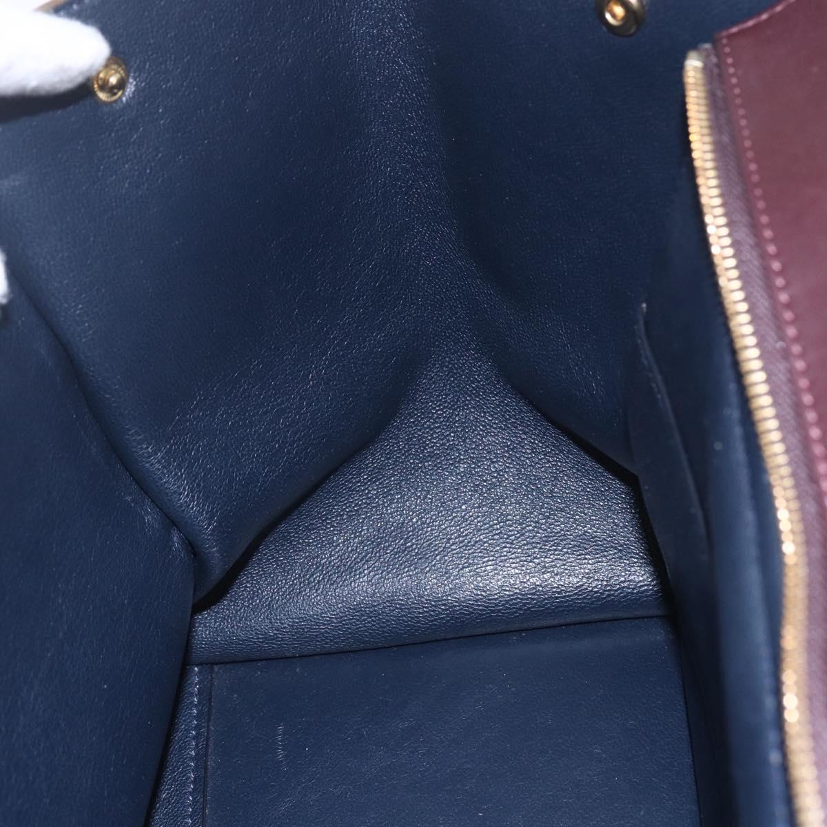 CELINE Trapeze Hand Bag Leather 2way Brown Black gold Auth ka337