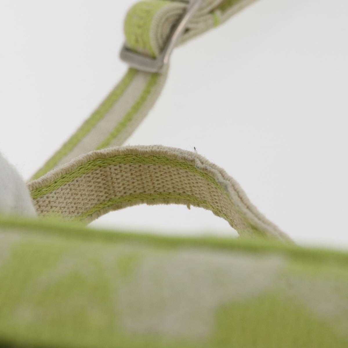 Christian Dior Toile d'Eau Vanity Bag Jacquard 2way Green Silver Auth ka3505M
