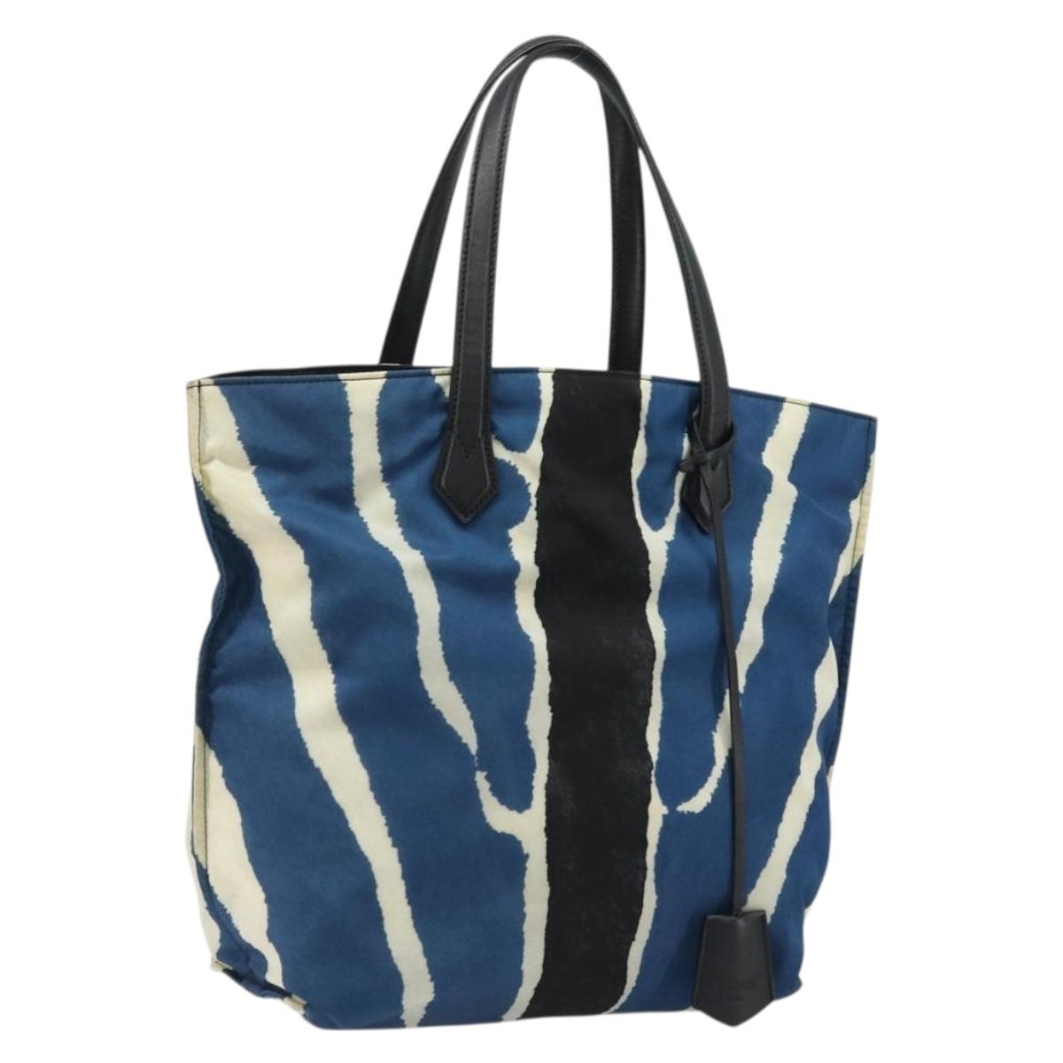 FENDI Tote Bag Nylon Blue Silver Auth ka3942
