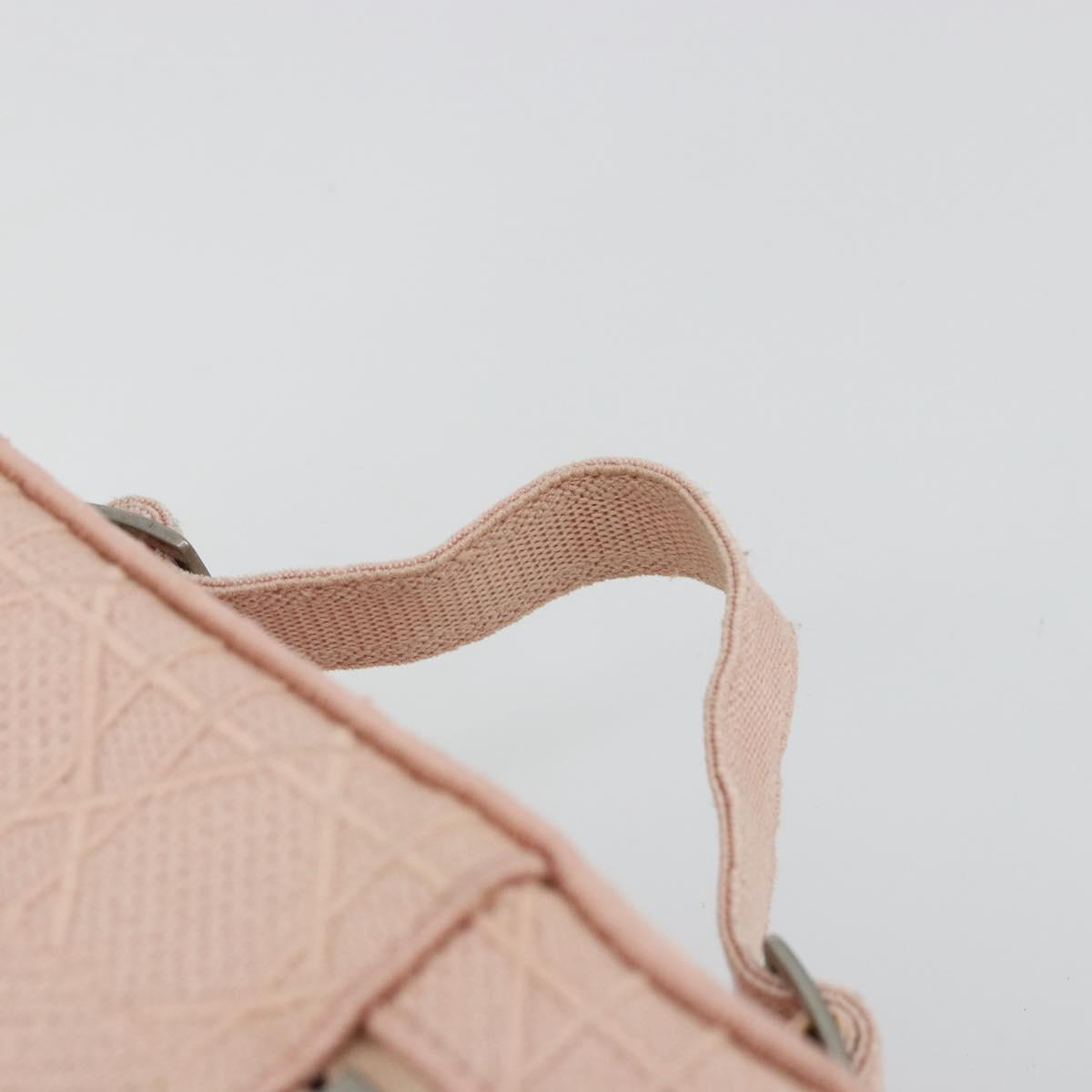 Christian Dior Vanity Hand Bag Canvas Pink Silver Auth ka4333A