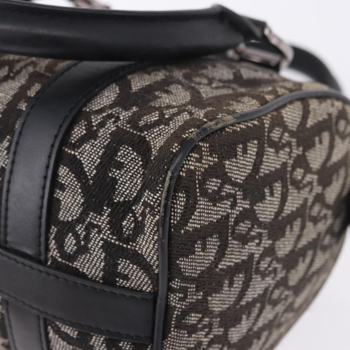 Christian Dior Trotter Canvas Hand Bag Black Silver Auth ka5434A