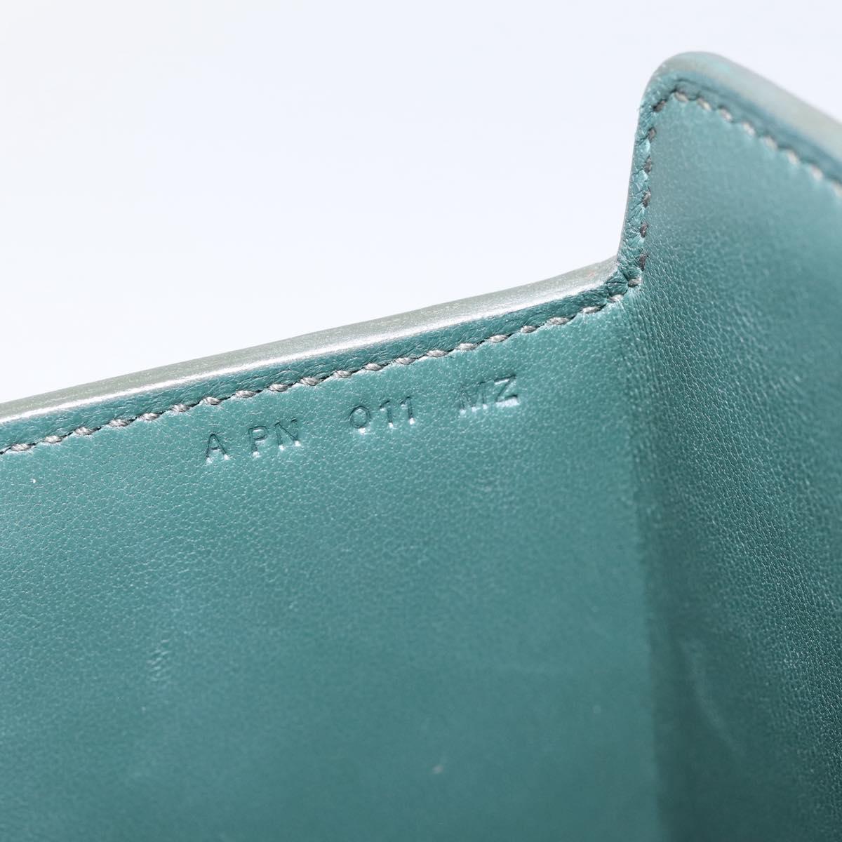 HERMES Synetique Chevre Hand Bag Leather Green Silver Auth ka5671SAM