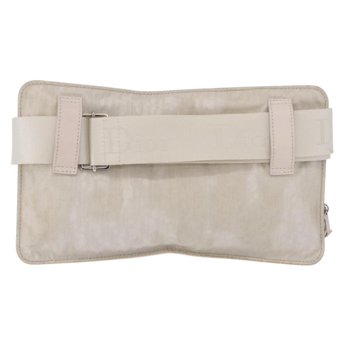 Christian Dior Trotter Canvas Waist bag Nylon White Silver Auth ka5837A