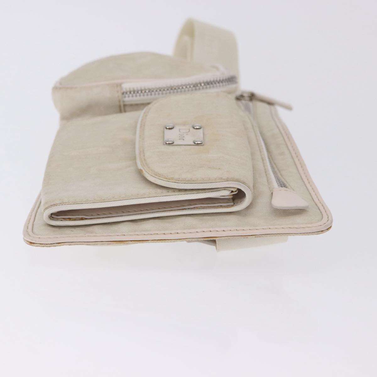 Christian Dior Trotter Canvas Waist bag Nylon White Silver Auth ka5837A