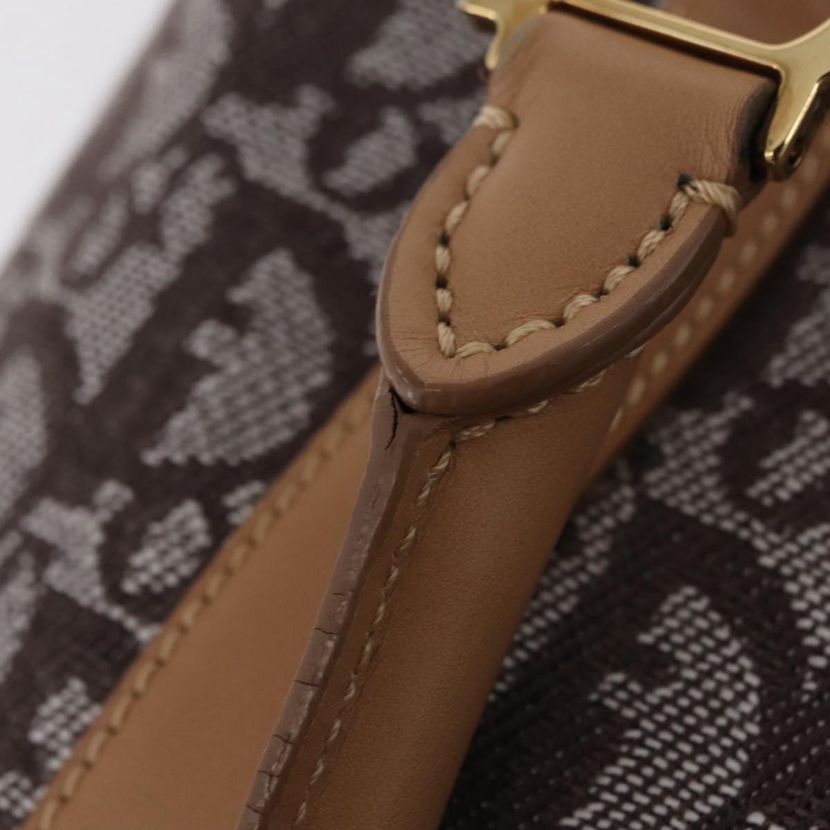 Christian Dior Trotter Canvas Hand Bag Brown Gold Auth ka6338V