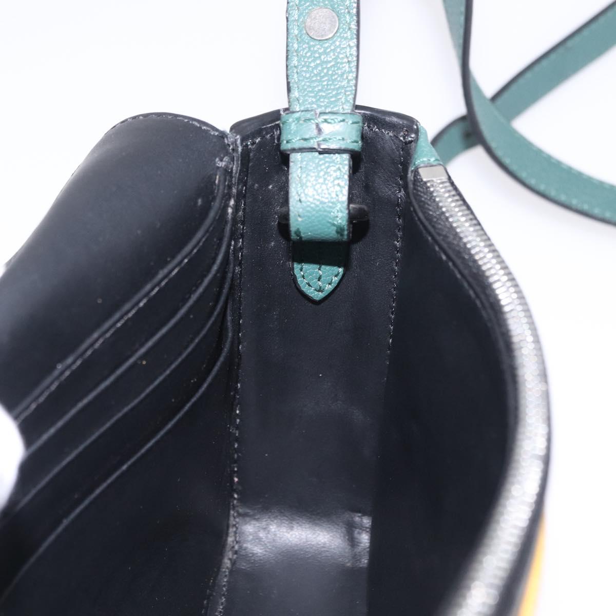 BURBERRY Nova Check Shoulder Bag Canvas Green Silver Auth ka6391A