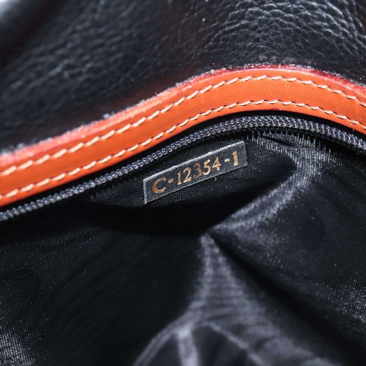 FENDI Pecan Canvas Hand Bag PVC 2way Black Brown Auth ka6634V
