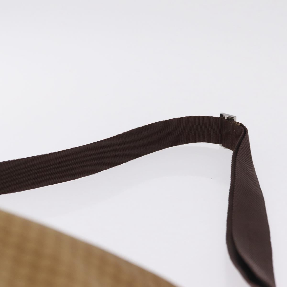 GUCCI Micro GG Canvas Shoulder Bag Nylon Outlet Brown Silver 257301 Auth ka6862