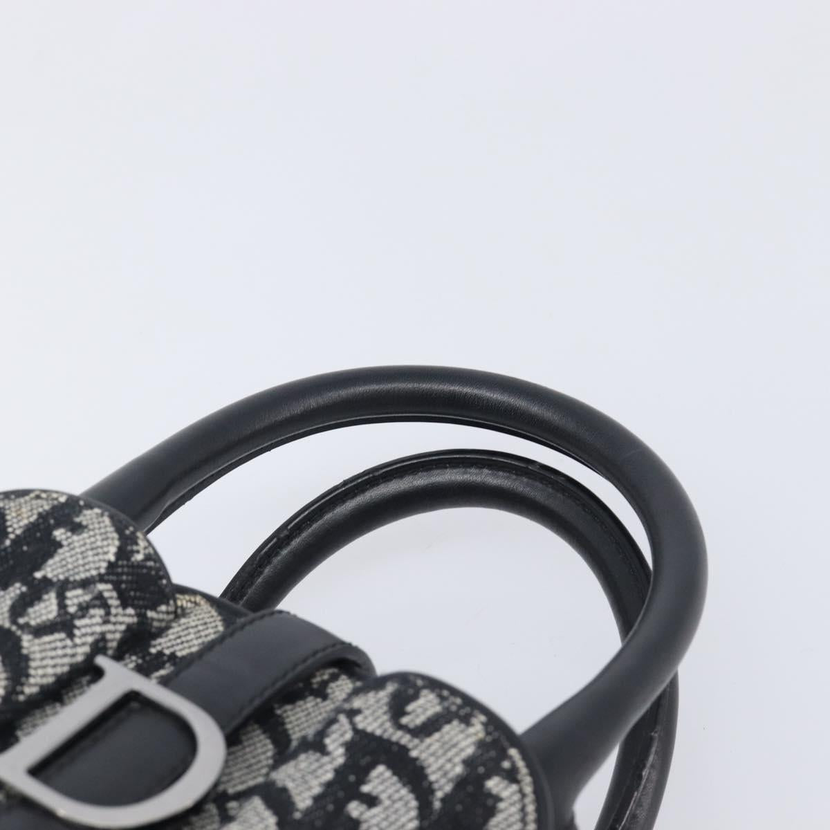 Christian Dior Trotter Canvas Double Saddle Hand Bag Black Silver Auth ka6987V