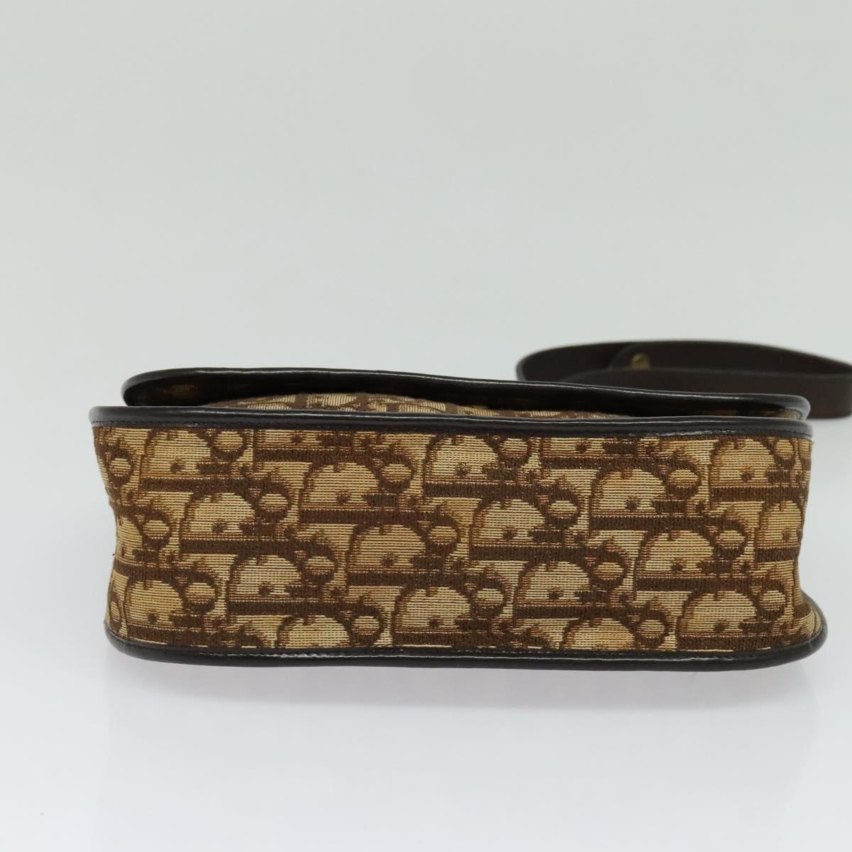 Christian Dior Trotter Canvas Shoulder Bag Brown Gold Auth KD090