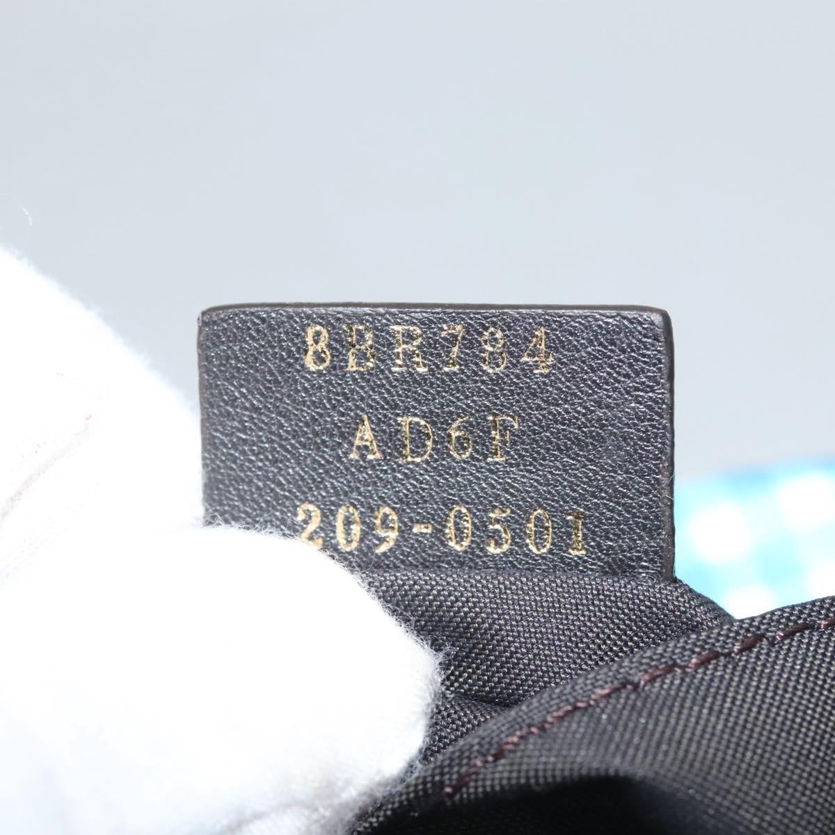 FENDI Waist bag Nylon Blue Gold Auth KD512