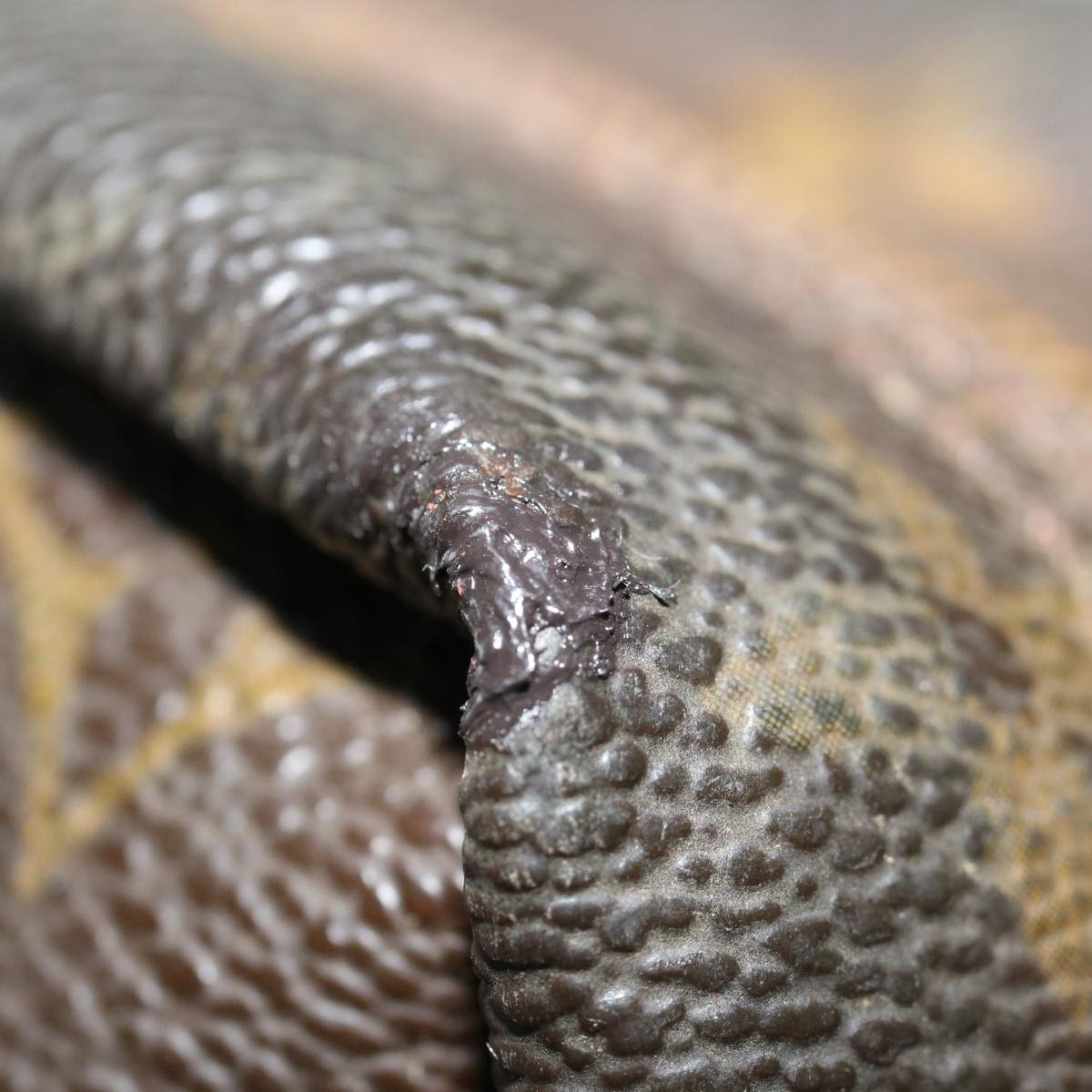 LOUIS VUITTON Monogram Trousse Toilette 28 Clutch Bag M47522 LV Auth ki4285