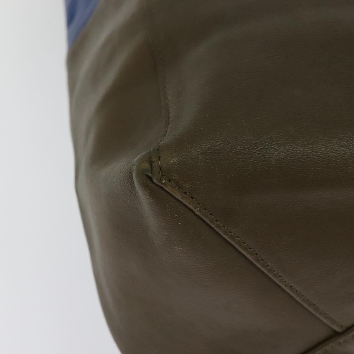 CELINE Vertical Cabas Hand Bag Leather Blue Brown Auth ki5445