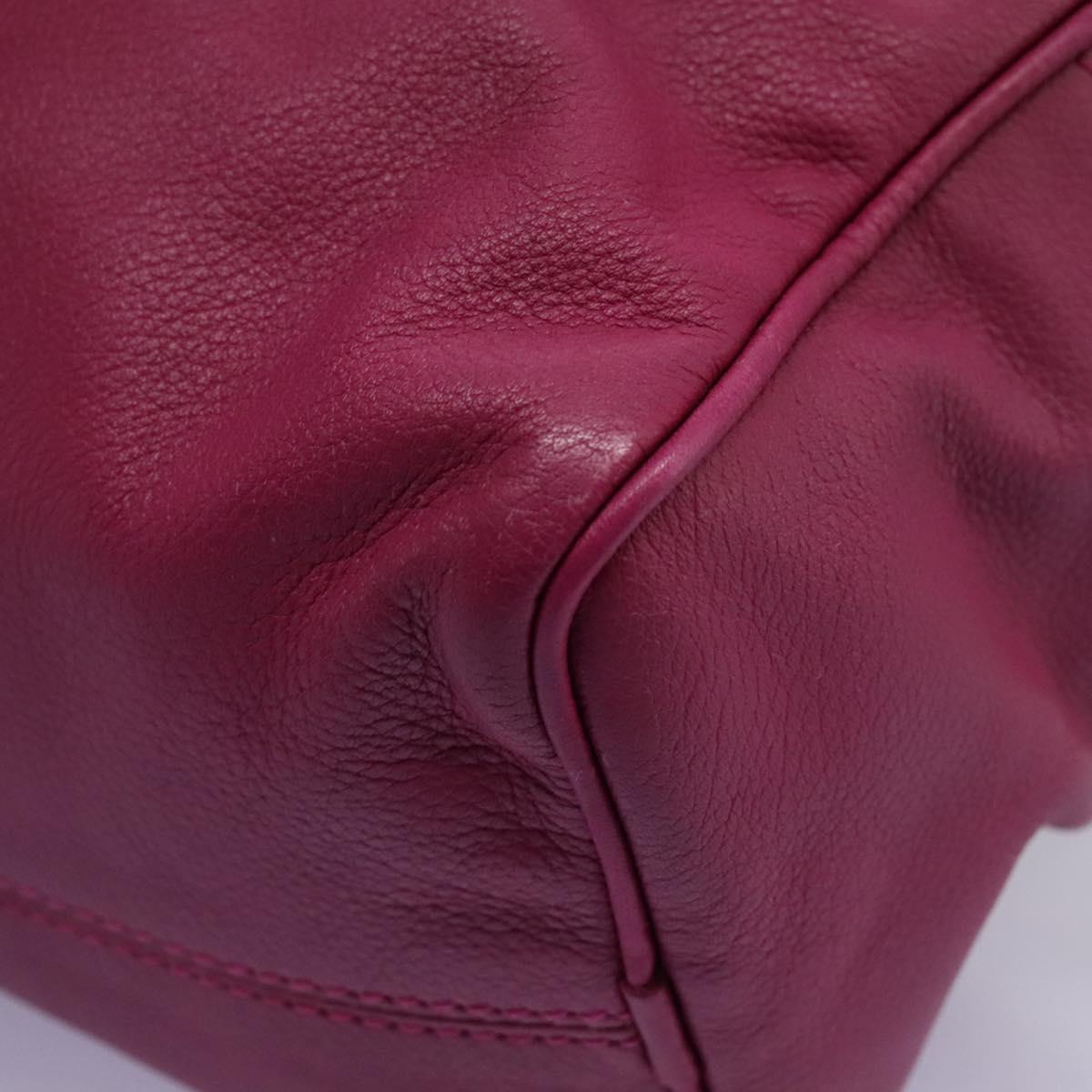 LOEWE Amazonas Mini Boston Bag Leather 2way Pink Gold Auth ki5532V