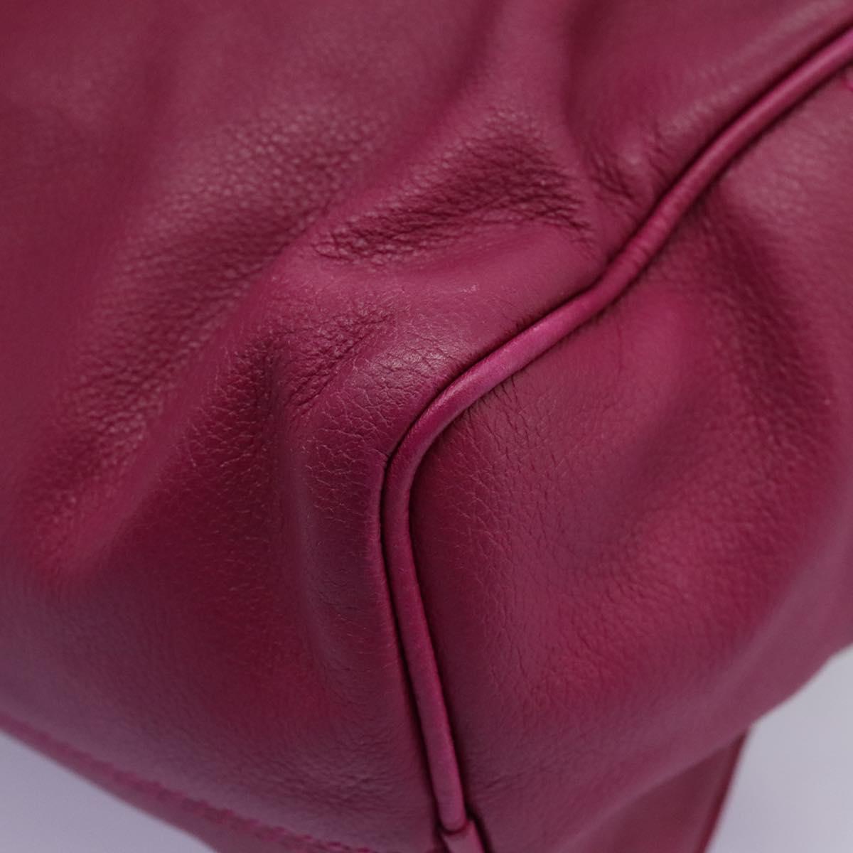 LOEWE Amazonas Mini Boston Bag Leather 2way Pink Gold Auth ki5532V