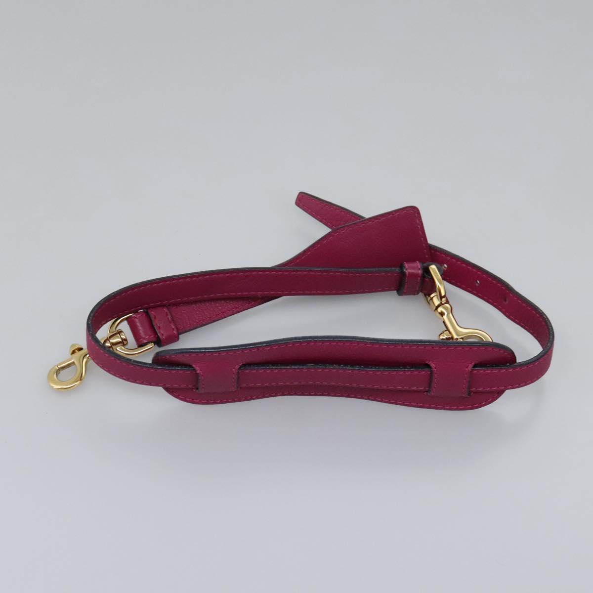 LOEWE Amazonas Mini Boston Bag Leather 2way Pink Gold Auth ki5532V