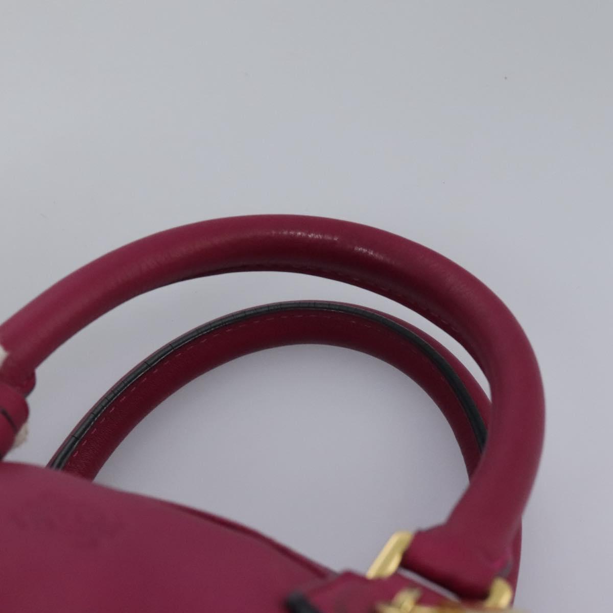 LOEWE Amazonas Mini Boston Bag Leather 2way Pink Gold Auth ki5532V