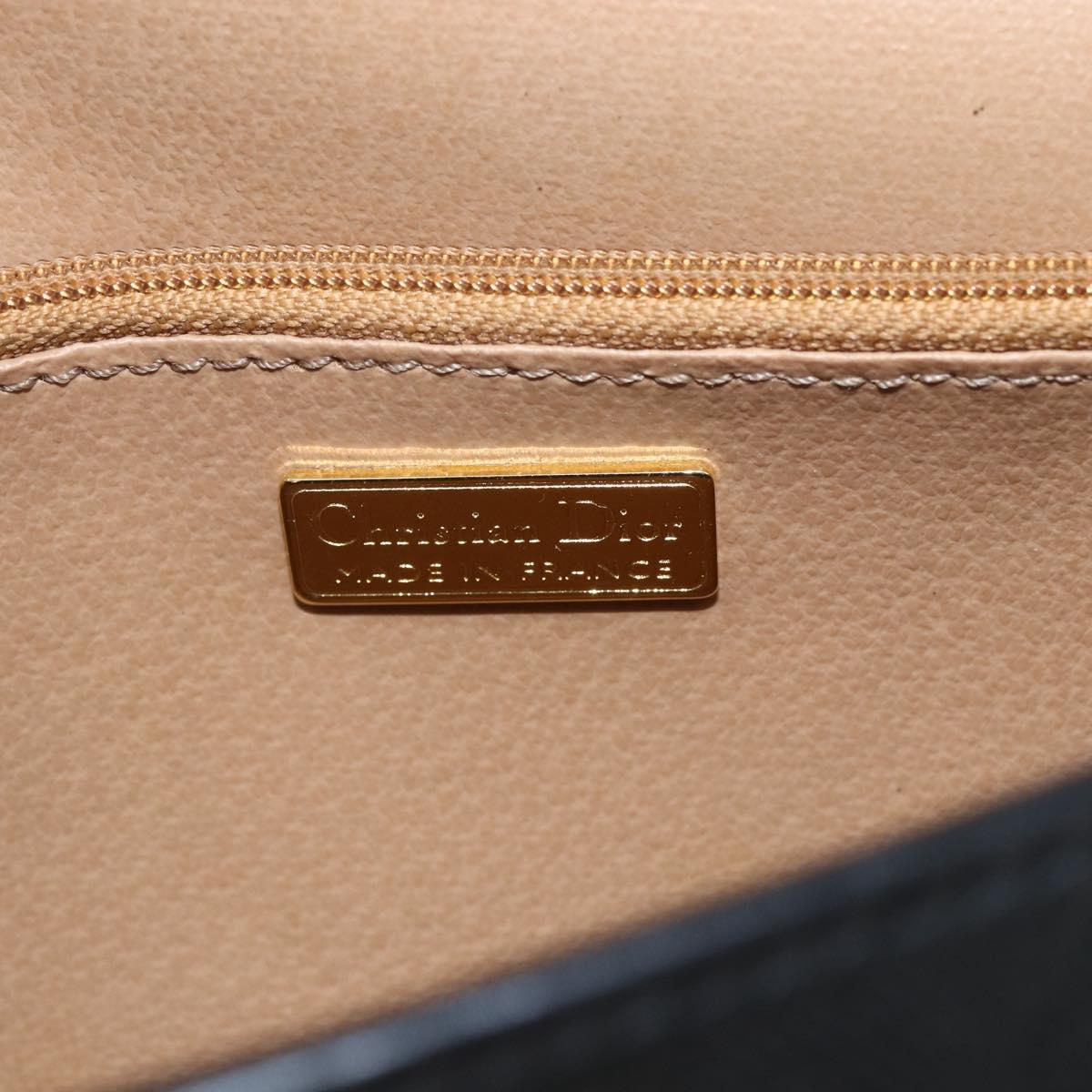 Christian Dior Trotter Canvas Oval Shoulder Bag PVC Black Gold Auth ki6295