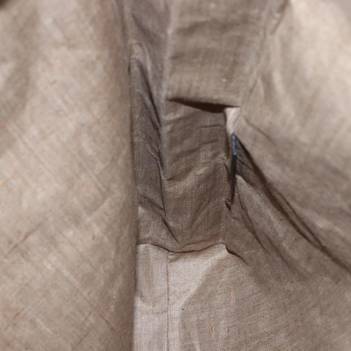 FENDI Celeria Hand Bag PVC Canvas Brown Auth kk636